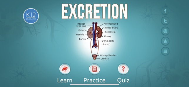 Excretion in Human Beings(圖1)-速報App