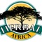 Manufacturers of traditional African herbal medicines