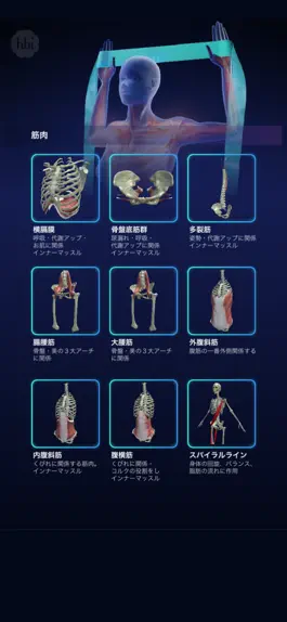 Game screenshot 美の三大アーチ　オリジナルAnatomy apk