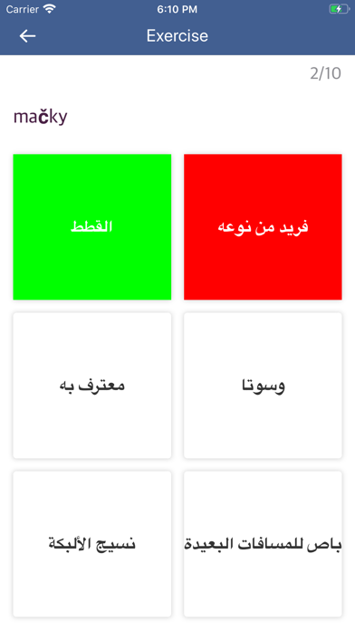 Arabic Slovak Dictionary screenshot 4