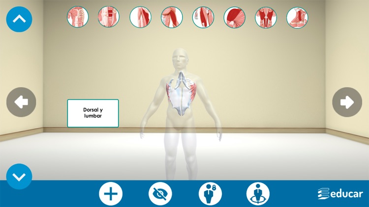 Mi Cuerpo Humano en 3D screenshot-6