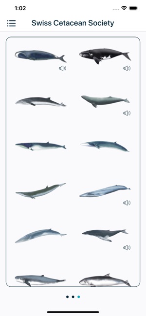 SCS - Swiss Cetacean Society(圖3)-速報App