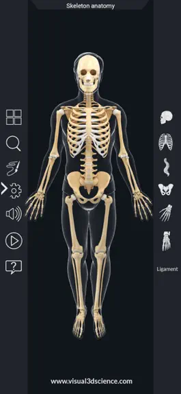 Game screenshot AR Skeleton Anatomy hack