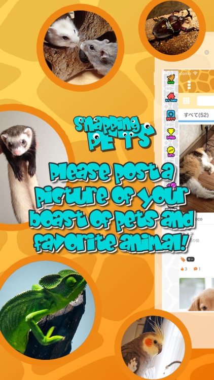 SNAPPING PETS ~ Pets & Animal