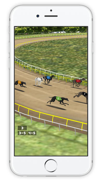Simple Greyhound Racing screenshot 4