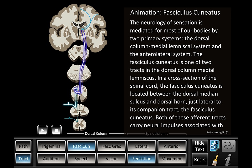 Pathway Tract ID screenshot 2