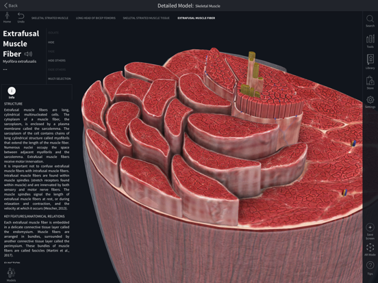 Complete Anatomy screenshot