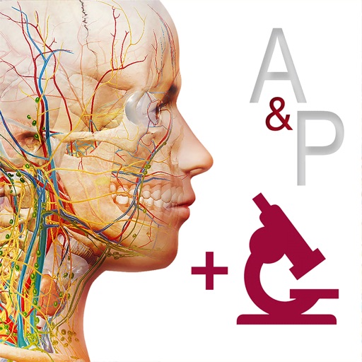 Anatomy & Physiology Icon