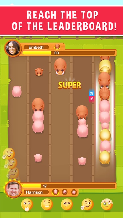 Piggy Fight screenshot 4