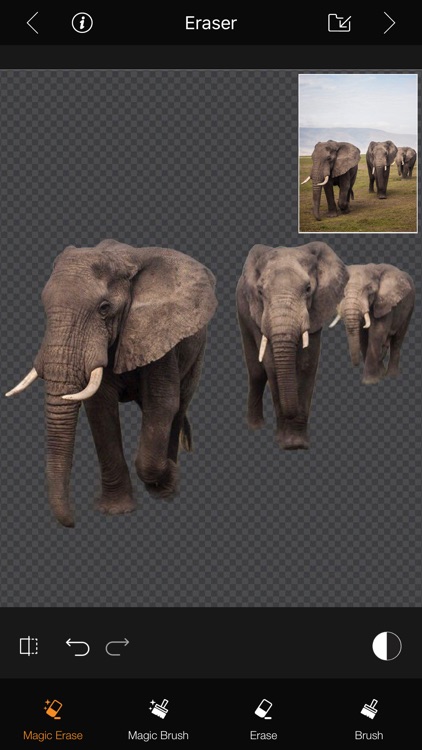 PhotoCut Pro Background Eraser screenshot-4