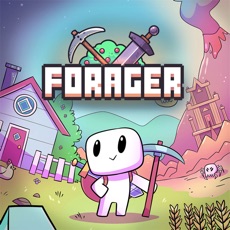 Activities of FORAGER PE