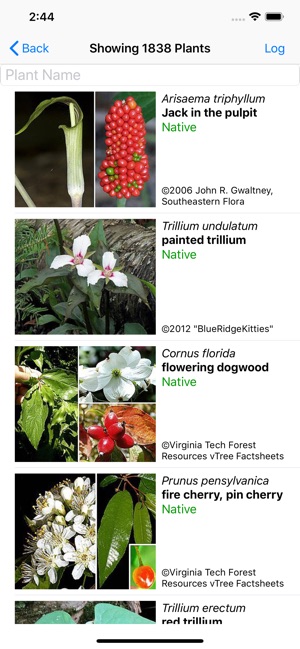 New England Wildflowers(圖2)-速報App