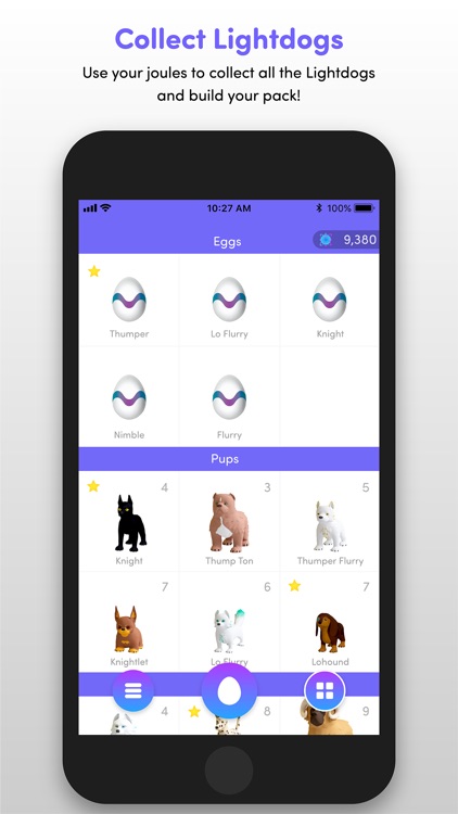 Lightdogs: Unplug & Focus