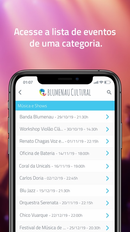 Blumenau Cultural screenshot-3