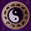 Chinese Astrology Tools - 琨 谢