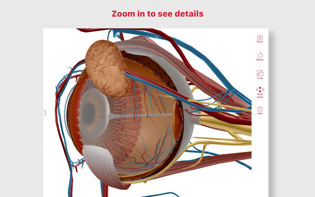 ‎Anatomy & Physiology Screenshot