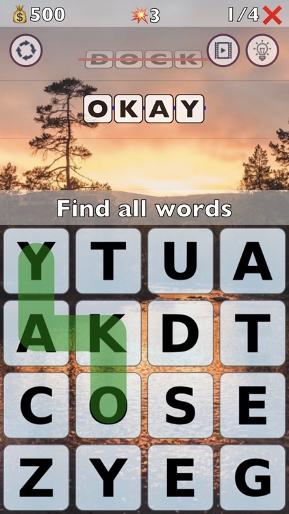 Word Vision screenshot-0