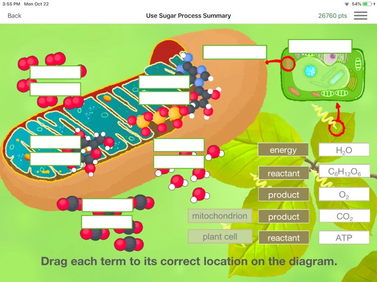 CellEnergy Photosynthesis Labs screenshot-7
