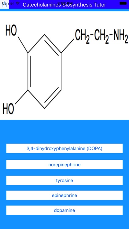 Catecholamines Synthesis Tutor