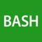 Icon Bash Programming Language