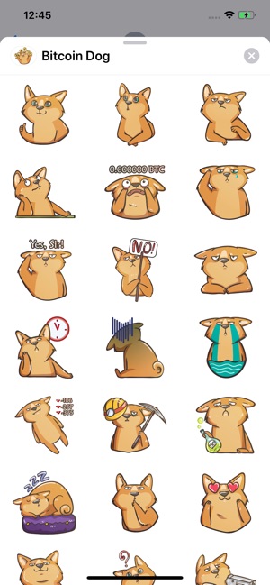 Bitcoin Dog Sticker Pack(圖2)-速報App