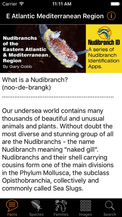 Nudibranch ID E Atlantic Med
