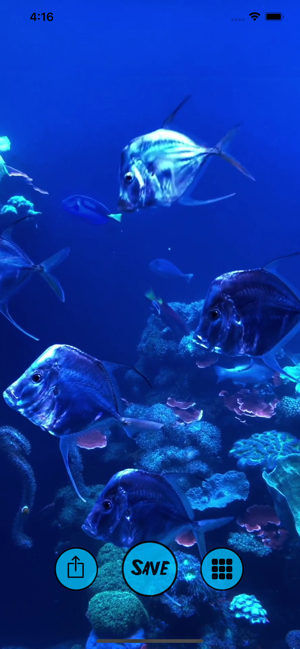 Aquarium Live Wallpapers(圖1)-速報App