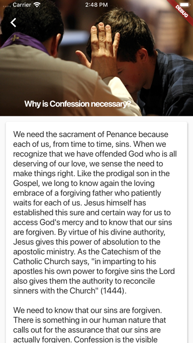 Catholic Confession Guide screenshot 4