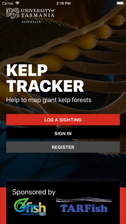 Kelp Tracker