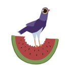 Top 24 Stickers Apps Like Trash Doves Summer - Best Alternatives