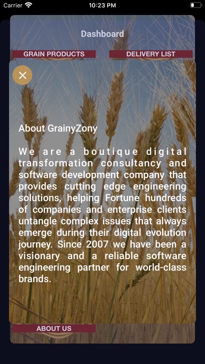 GrainyZony screenshot-6