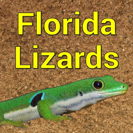 Florida Lizards