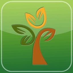 Seasons FCU Mobile Money