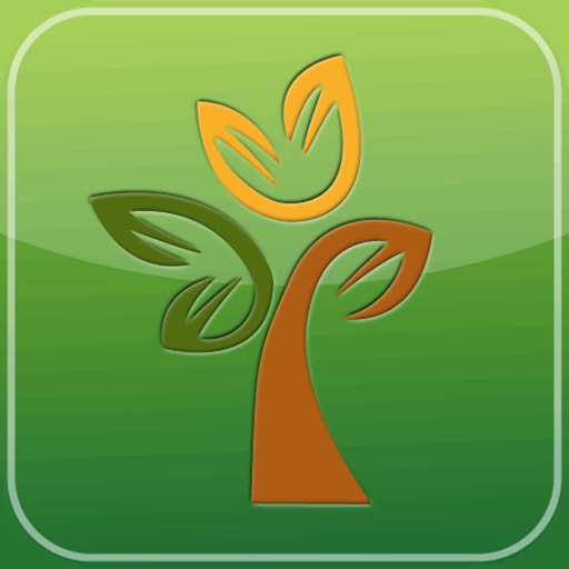 Seasons FCU Mobile Money