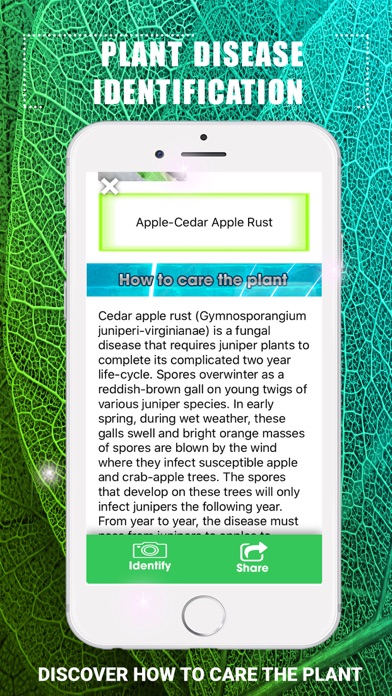 Plants Disease Identification screenshot 4