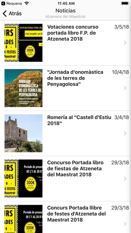 Ajuntaments de Castelló screenshot-1