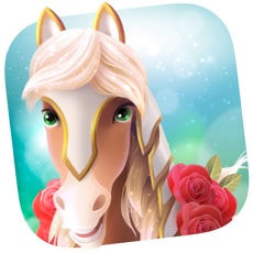 Activities of Horse Haven World Adventures