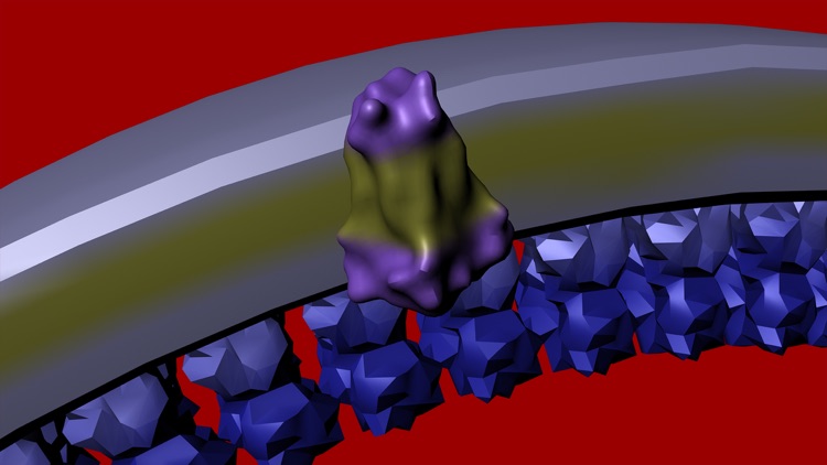 Bio Virus Structure in 3D