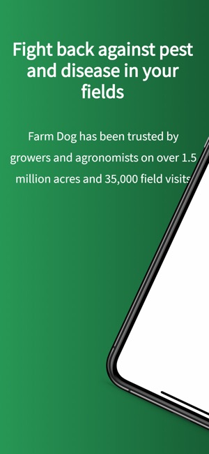 Farm Dog