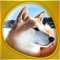 Icon Animals 360 - The DogShow Gold