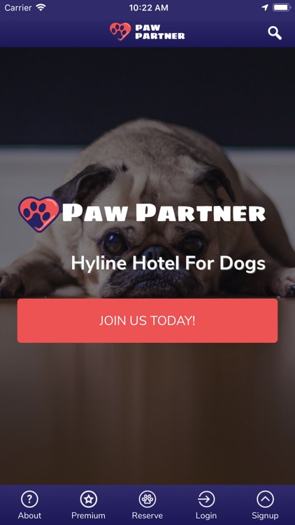 hyline dog hotel