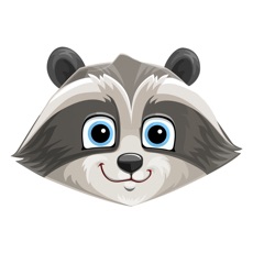 Activities of Raccoon Family