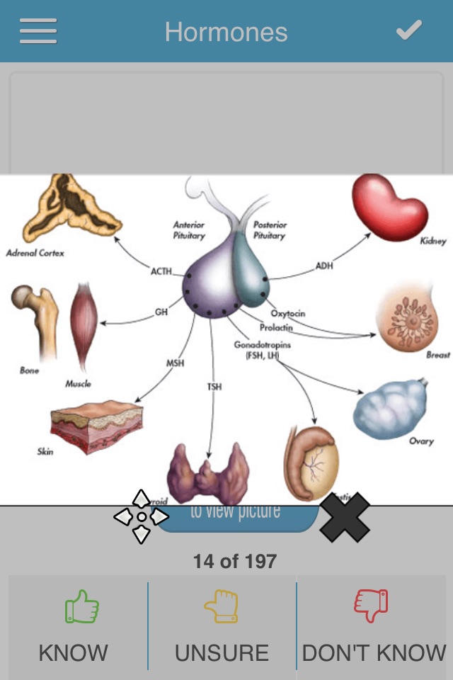 MCAT Biology Cram Cards screenshot 2