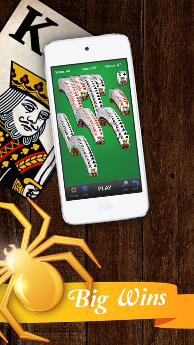 Classic Spider The Card Game screenshot 3