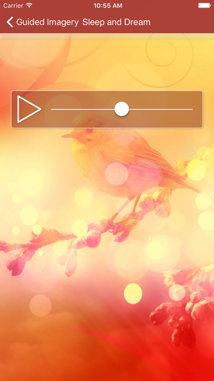 Guided Imagery Meditations screenshot-4