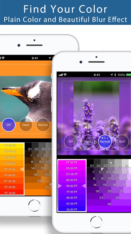 Squaready Pro screenshot-3