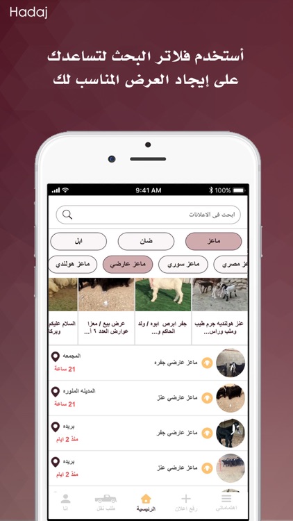 Hadaj | سوق هداج للمواشي‎