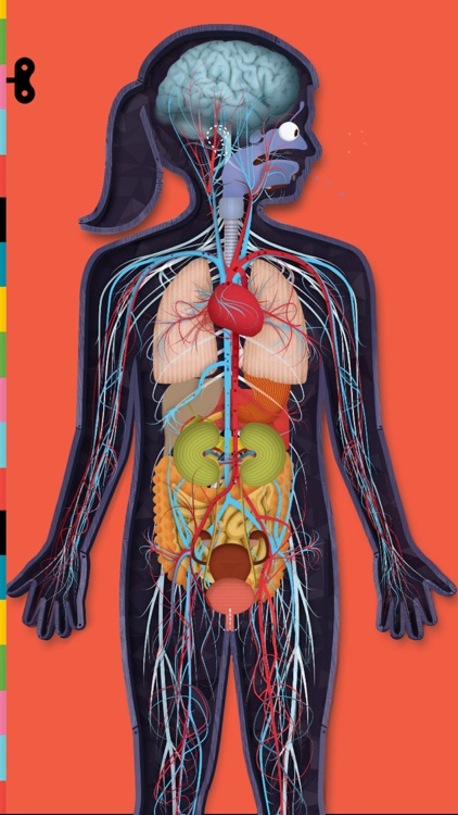 The Human Body by Tinybop screenshot-3