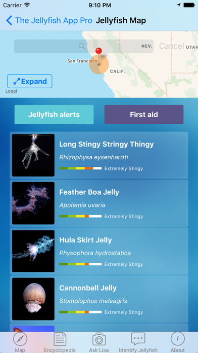 The Jellyfish App Pro screenshot 3