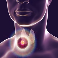 Learn Endocrine System pour PC